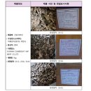 이레식품상사 이미지