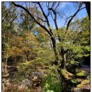 곡성-173 이미지