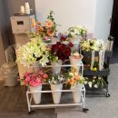 오천8길 | W6. 대구 어반스튜디오 2호점 듀안 웨딩촬영 후기