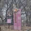 행주산성 | 와플 맛집, 베이커리 맛집 행주산성 파스토랄 방문 후기