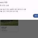 오드리PC | W2-4-3. 셀프 AI드론 <오카:AUCA> 이용후기 / 제주동쪽 셀프스냅 / 셀프드론 촬영 / 제주드론 촬영