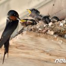 두호1시장 이미지