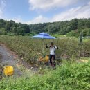 운향농장 이미지