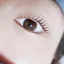 다올브로우 이미지