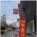 모아랜드공인중개사사무소 이미지