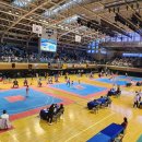 꿈나무태권도체육관 이미지