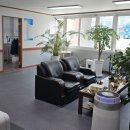 햇빛행정사 이미지