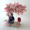 대전 유성 아기 사진관 추천 원신흥동 찬란 스튜디오 주니어 촬영 후기