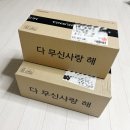 (주)마이플레이 | 콜라보 FC안양 캐릭터 마이스위트피아노 풀세트 장착후 응원 가기 (10R 제주SK FC전 후기 브이로그 포함)