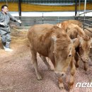 이스턴24시동물병원 이미지