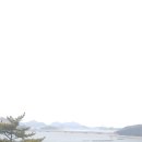 신시도세꼬시 | [전북군산여행]고군산도투어 선유도 자전거타기,대장봉 산책후기-1박2일군산여행