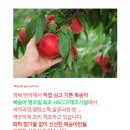영디자인플러스 | 🍑 [영플러스 수제 병조림 후기] 백도&황도 無첨가✨ 홈카페 감성 그대로💛리얼 후기 | 선물용으로 딱...