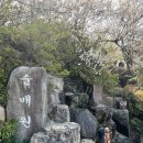 대구근교 경남 꽃구경 가볼만한곳 양산 순매원 매화축제 실시간 주차정보