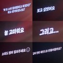 비로소, 여름 | 소란 여름콘 Squeeze! 후기 | 비로소 온 여름