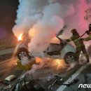 진해대로-2 이미지