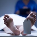 인사이트 이미지