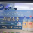 여명안경 | 보고싶었슨