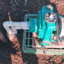 김갑수농장 이미지