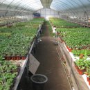 삼한농장 이미지