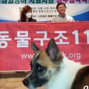 두나펫 코리아 네이버블로그