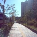 임광사거리 이미지