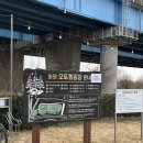 부산 캠핑장 화명오토캠핑장 솔직후기🏕️ 화명대교 야경과 노을 맛집