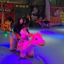 1294 | 용인 아이와 가볼만한 용인 공룡월드 전시 공연 키즈카페 솔직후기