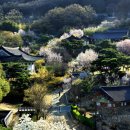 대전, 우암사적공원(尤庵史蹟公園) 이미지