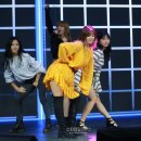 강산스포츠 이미지