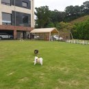 화성로 L 이미지