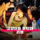 고양이를 부탁해 | 고양이를부탁해 관람평 해석 정보 방황하는 모든 티티들을 위하여