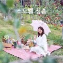 청송여행 소노벨 애플 팜파티 힐링 후기