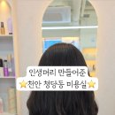 뽁구온니