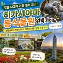 여행 필수 코스! 히가시야마 동식물원 완벽 가이드｜코알라부터 전망대까지 직접 다녀온 힐링 여행 후기