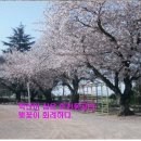 회천동초등학교 이미지