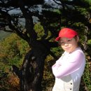 아이짐 경희대 태권스쿨 이미지