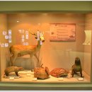 대구 약령시장 이미지