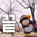 조은투어 - 진주시 숙호산로 136 | 조은투어