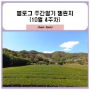 다도락다원 | 보성 녹차밭, 판소리성지, 보성생태흙집펜션, 청광도예원 1박 2일 여행