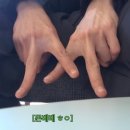 손수담은