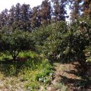 용흥마을회관 이미지