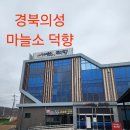 의성마늘소덕향 | 897 경북의성 마늘소덕향