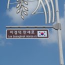 만세로 이미지