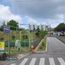 원주중앙초등학교 이미지