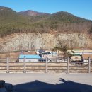 일연펜션 이미지