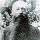 신효동 하귤나무 이미지