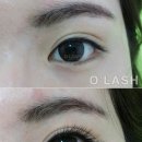 오래쉬(OLASH)