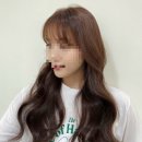 미헤어살롱(美헤어살롱)