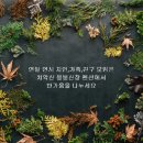 치악산펜션 이미지