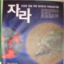 자양식품 이미지